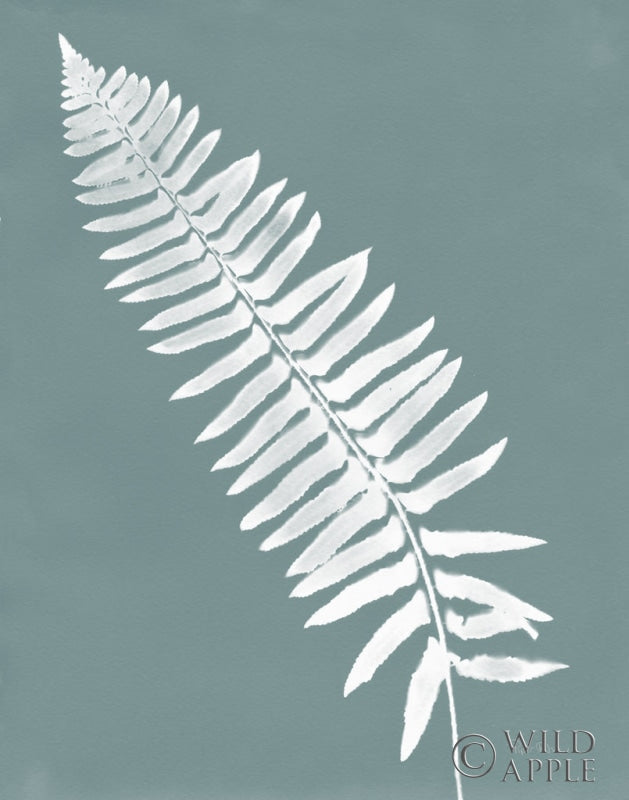 Reproduction of Nature by the Lake Ferns IV Gray Mist Crop by Piper Rhue - Wall Decor Art