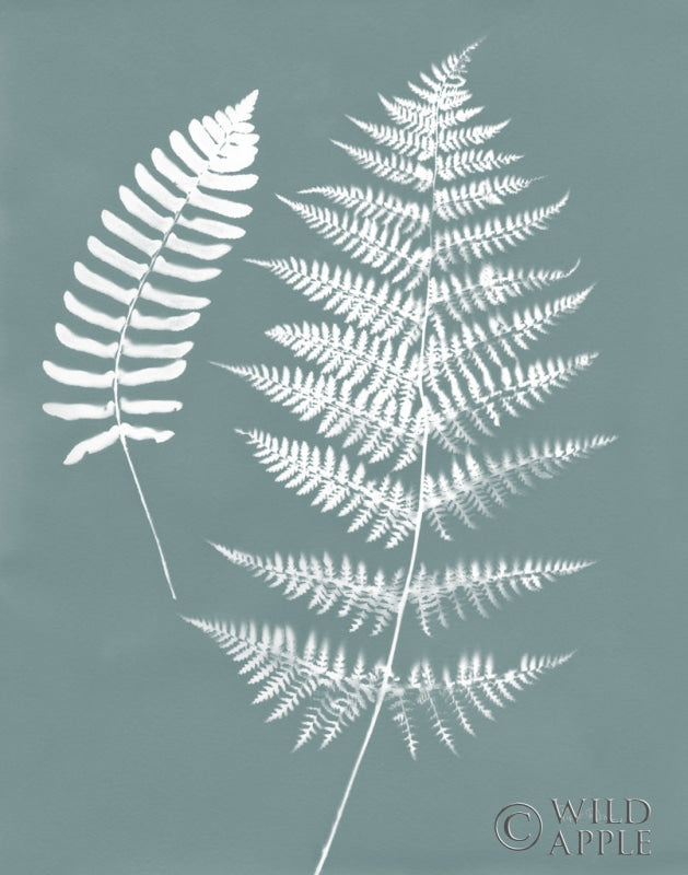 Reproduction of Nature by the Lake Ferns V Gray Mist Crop by Piper Rhue - Wall Decor Art