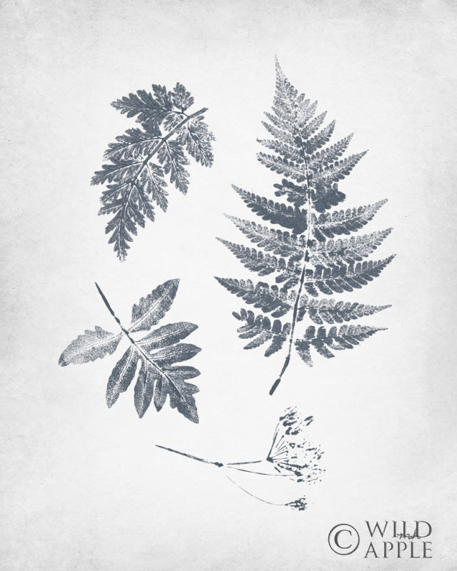 Reproduction of Walk in the Woods II by Moira Hershey - Wall Decor Art