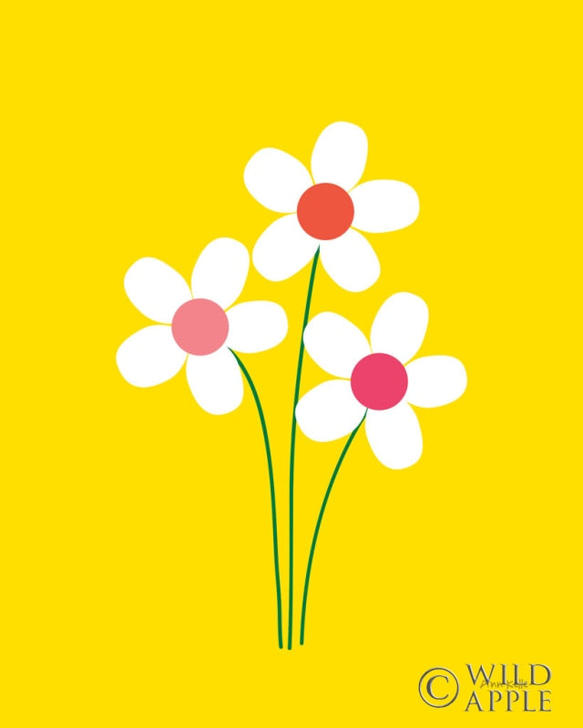 Reproduction of Daisies II by Ann Kelle - Wall Decor Art