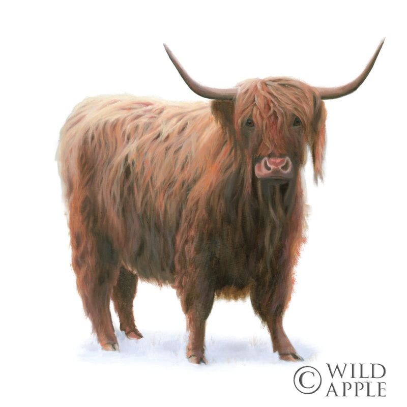 Reproduction of King of the Highland Fields on White by James Wiens - Wall Decor Art