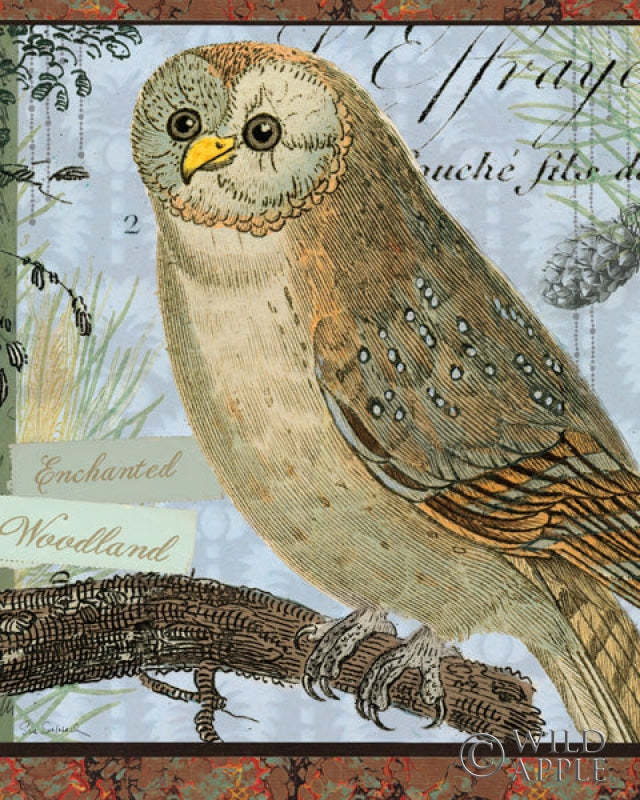 Reproduction of Enchanted Woodland by Sue Schlabach - Wall Decor Art