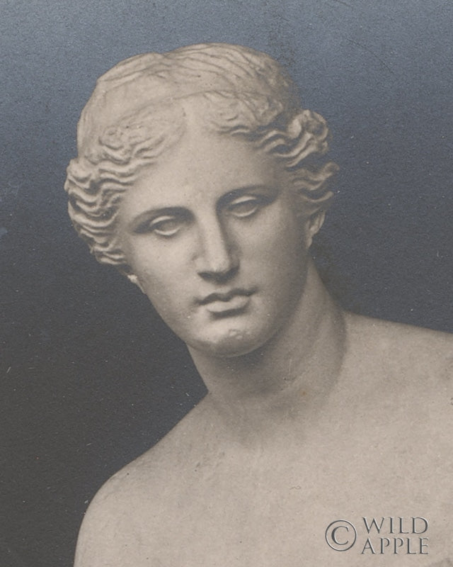 Reproduction of La Venus de Milo Crop by Wild Apple Portfolio - Wall Decor Art