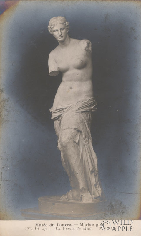 Reproduction of La Venus de Milo by Wild Apple Portfolio - Wall Decor Art