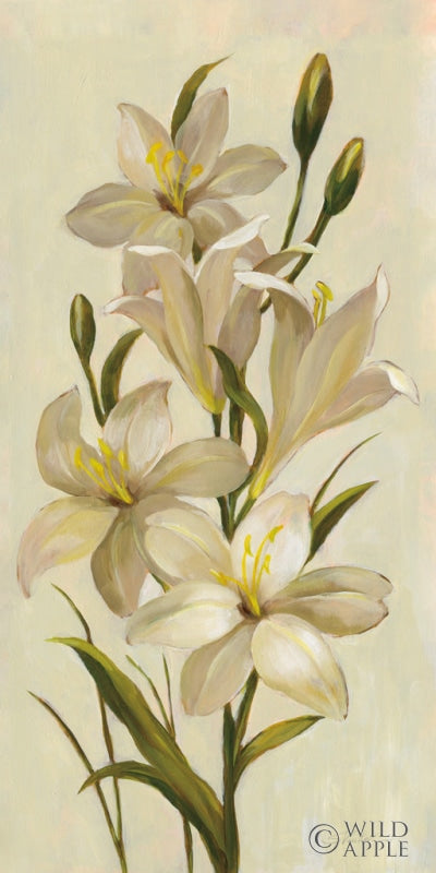 Reproduction of Elegant White Florals I by Silvia Vassileva - Wall Decor Art
