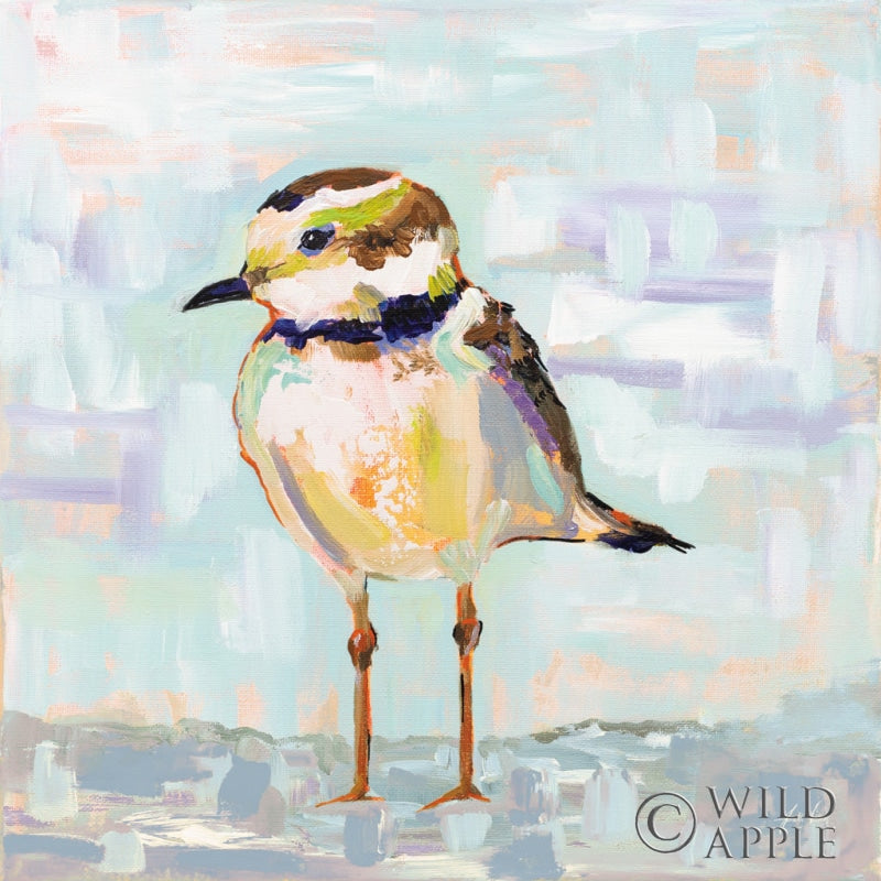 Reproduction of Coastal Plover II Neutral by Jeanette Vertentes - Wall Decor Art