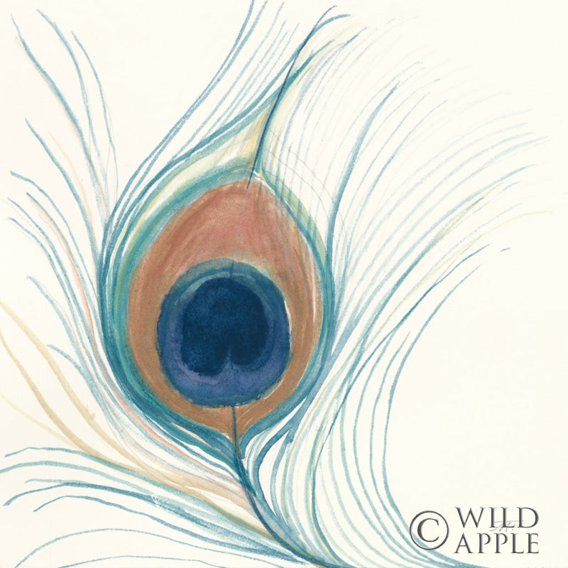 Reproduction of Peacock Feather II Blue by Miranda Thomas - Wall Decor Art