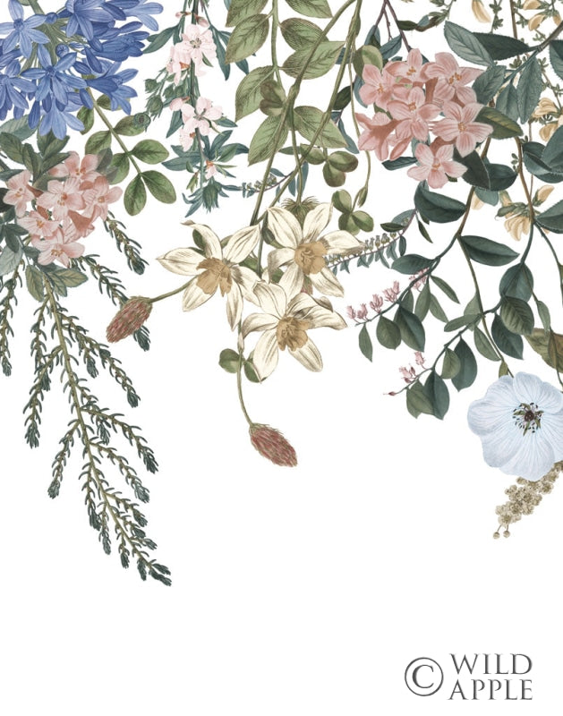 Reproduction of Hanging Floral II by Wild Apple Portfolio - Wall Decor Art