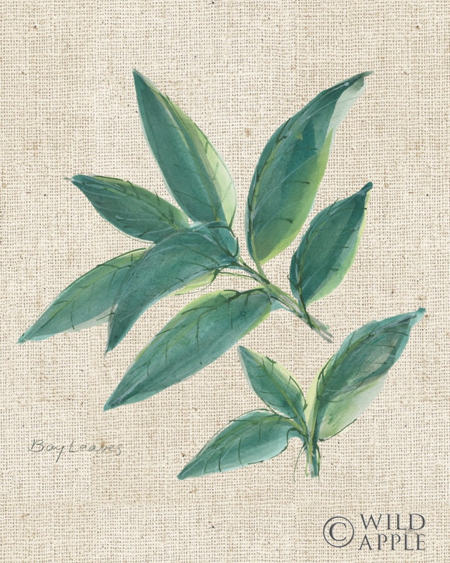 Reproduction of Bay Leaf on Burlap by Chris Paschke - Wall Decor Art