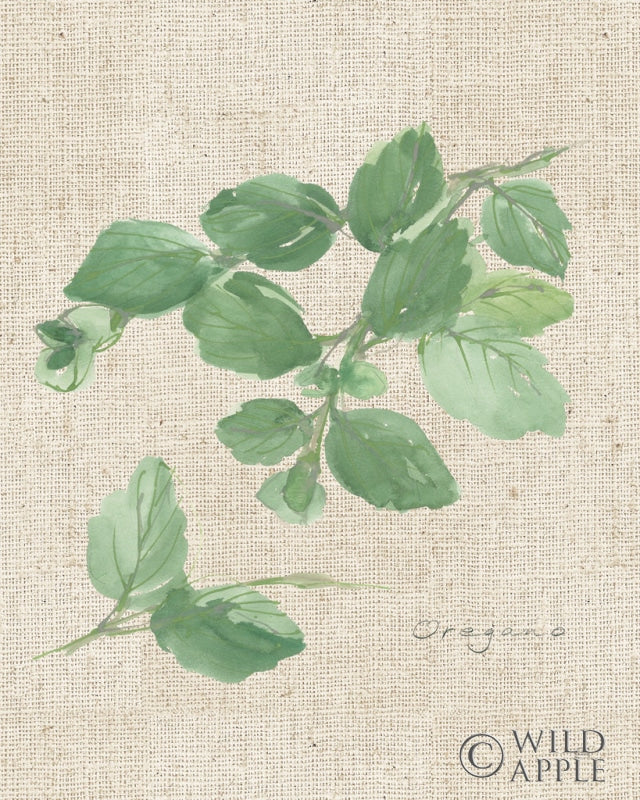Reproduction of Oregano on Burlap by Chris Paschke - Wall Decor Art