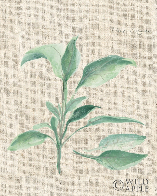 Reproduction of Sage II on Burlap by Chris Paschke - Wall Decor Art