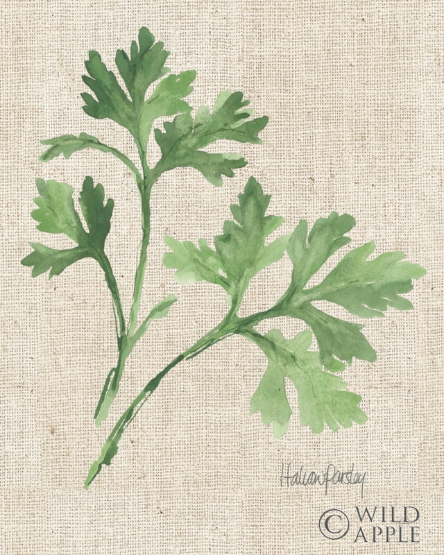 Reproduction of Italian Parsley v2 on Burlap by Chris Paschke - Wall Decor Art