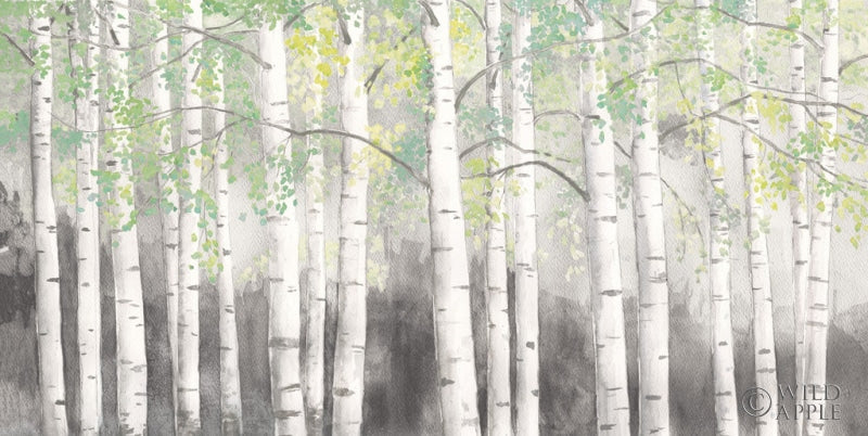 Reproduction of Soft Birches Charcoal by James Wiens - Wall Decor Art