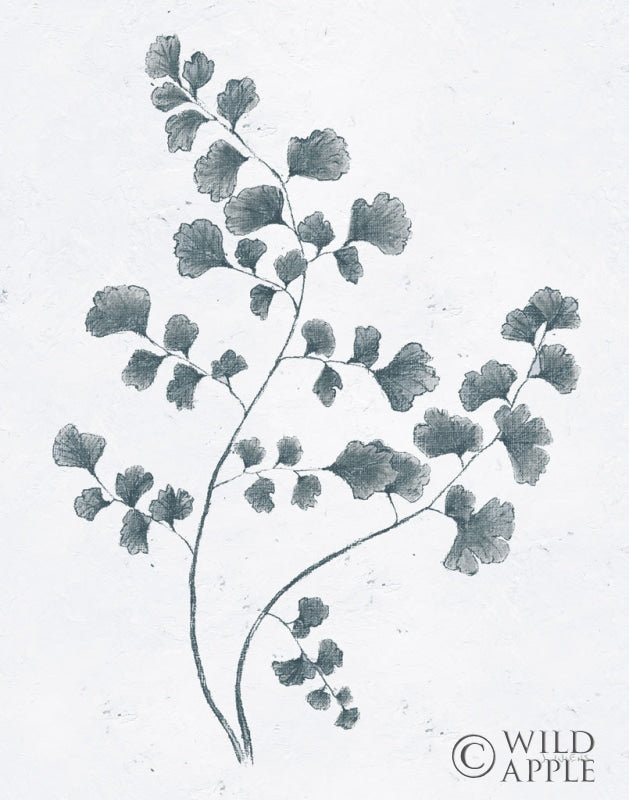 Reproduction of Soft Summer Sketches IV Blue by James Wiens - Wall Decor Art