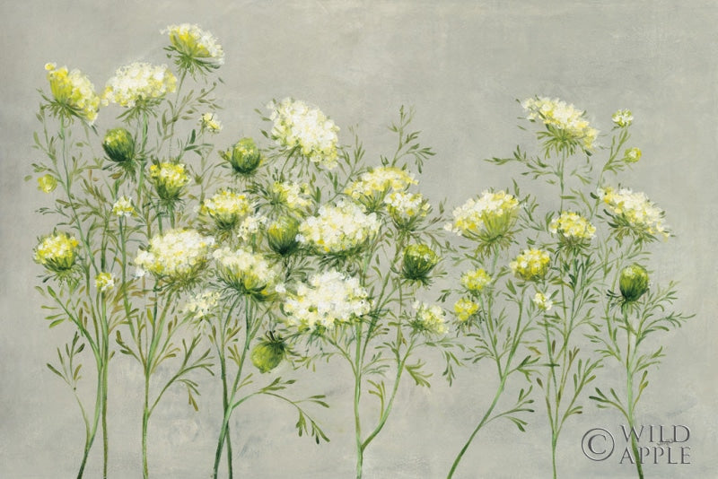 Reproduction of Queen Annes Lace by Julia Purinton - Wall Decor Art