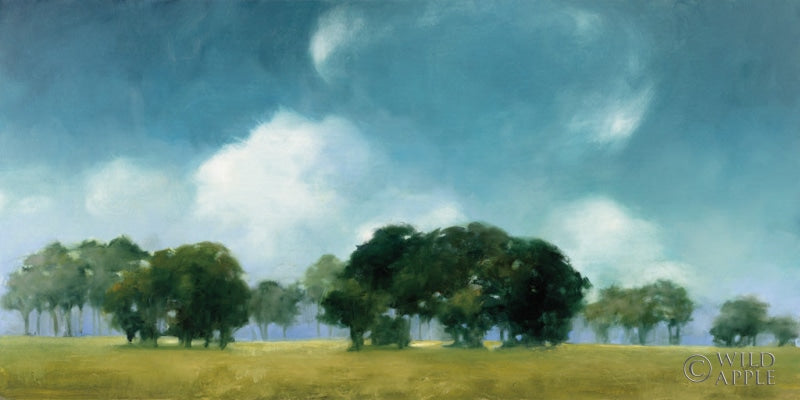 Reproduction of Cloud Dance by Julia Purinton - Wall Decor Art