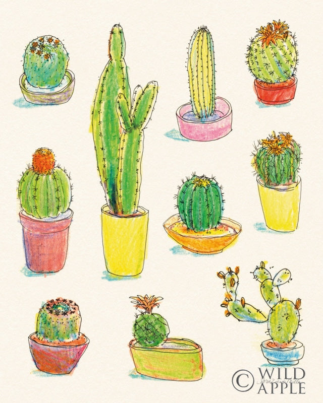 Reproduction of Cacti Garden I by Sara Zieve Miller - Wall Decor Art