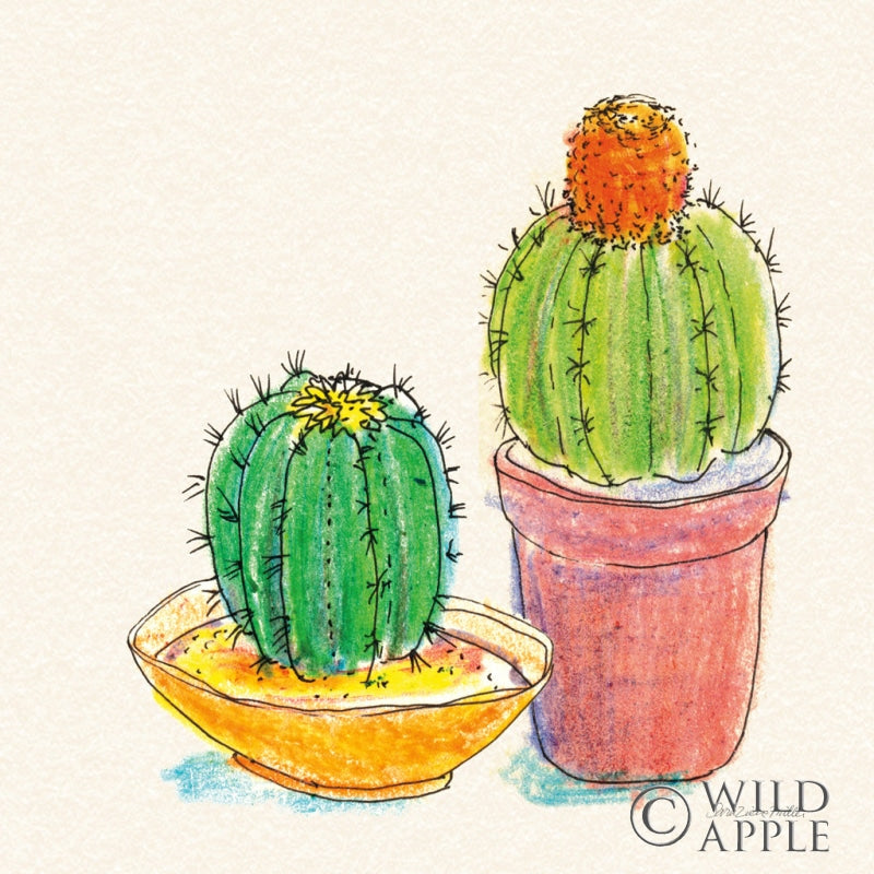 Reproduction of Cacti Garden III by Sara Zieve Miller - Wall Decor Art