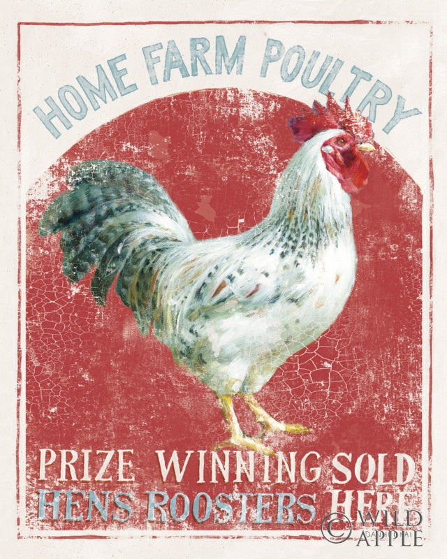 Reproduction of Vintage Rooster IV by Danhui Nai - Wall Decor Art