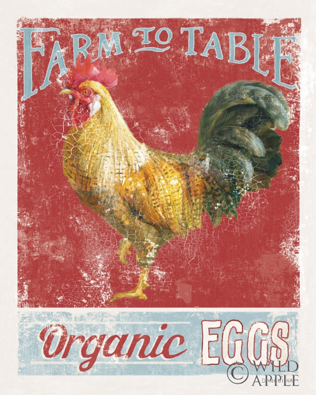 Reproduction of Vintage Rooster V by Danhui Nai - Wall Decor Art