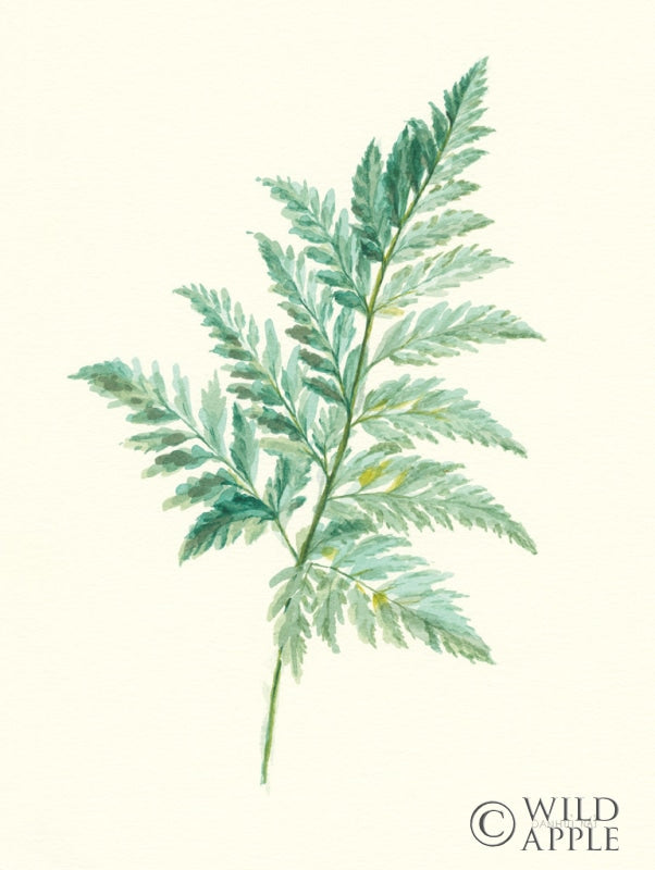 Reproduction of Leaf Study I by Danhui Nai - Wall Decor Art