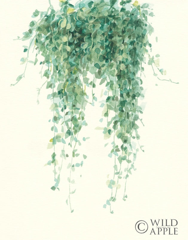Reproduction of Trailing Vines I Crop by Danhui Nai - Wall Decor Art