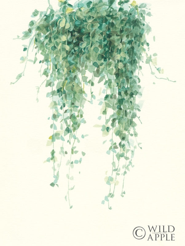 Reproduction of Trailing Vines I by Danhui Nai - Wall Decor Art