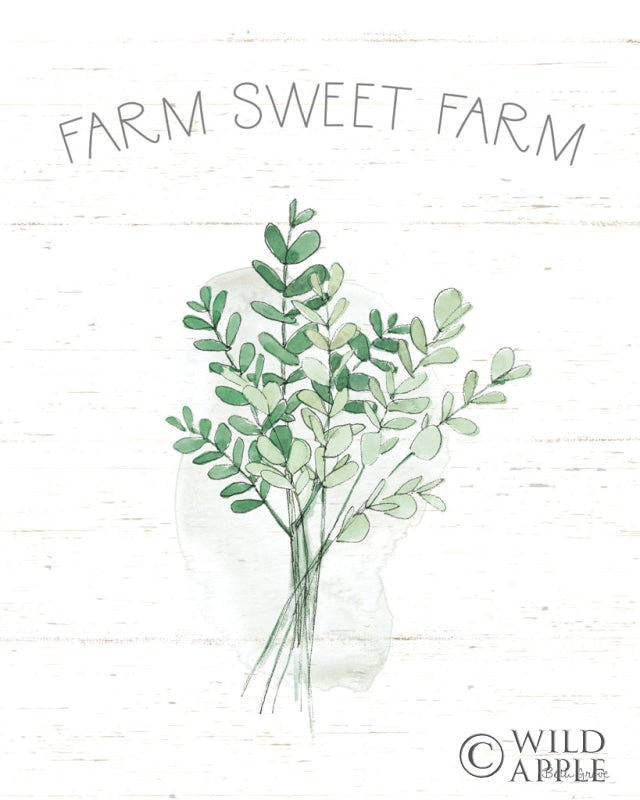 Reproduction of Farmhouse Cotton V Sage by Beth Grove - Wall Decor Art