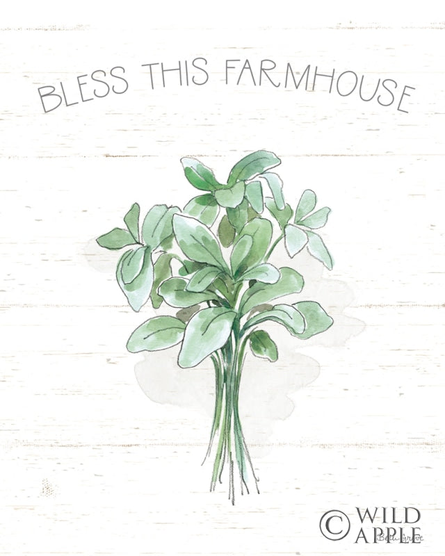 Reproduction of Farmhouse Cotton VI Sage by Beth Grove - Wall Decor Art