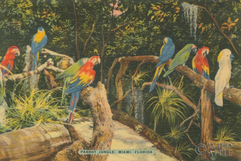 Reproduction of Florida Postcard II by Wild Apple Portfolio - Wall Decor Art