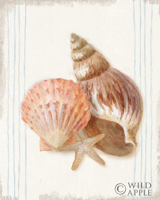 Reproduction of Floursack Nautical Shells I by Danhui Nai - Wall Decor Art