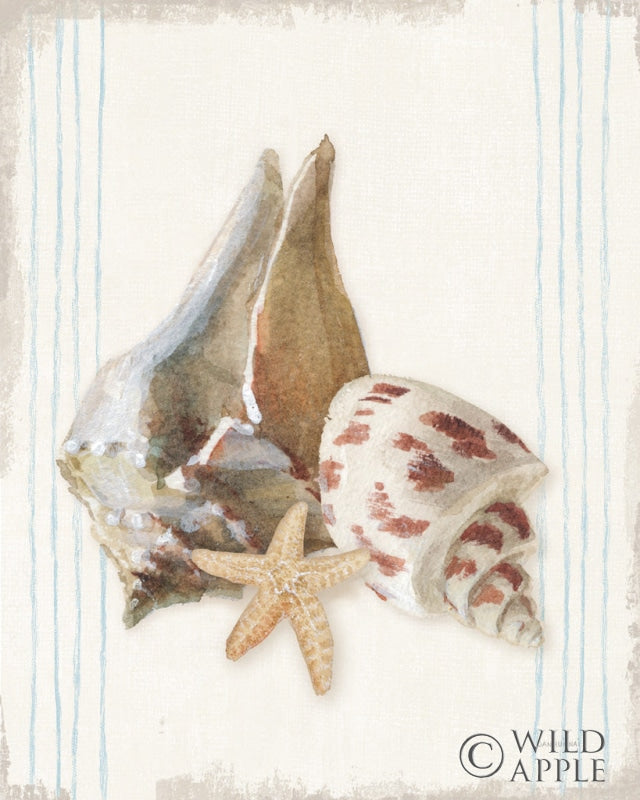 Reproduction of Floursack Nautical Shells II by Danhui Nai - Wall Decor Art