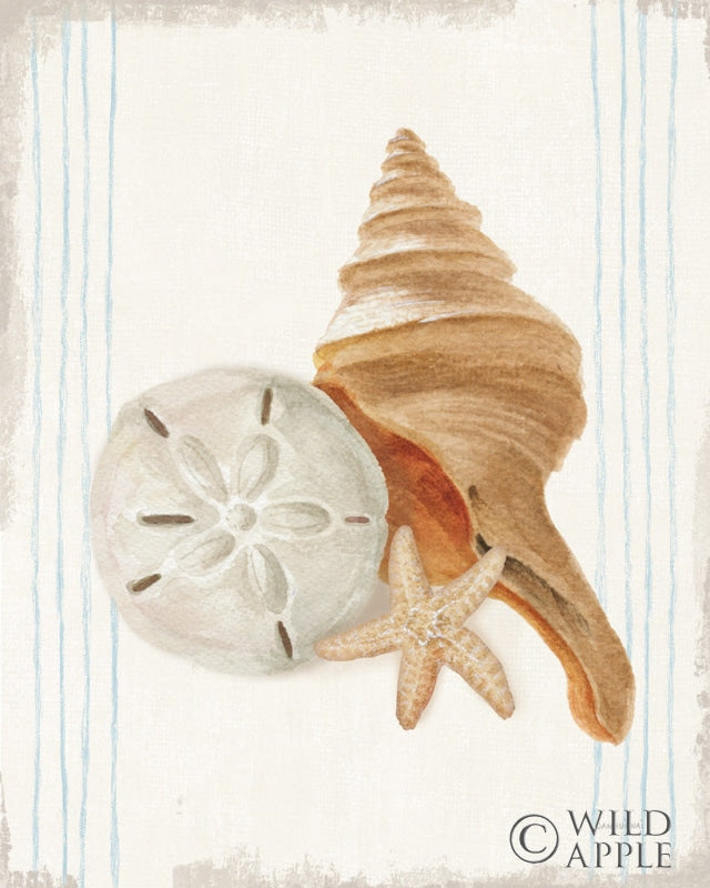 Reproduction of Floursack Nautical Shells III by Danhui Nai - Wall Decor Art