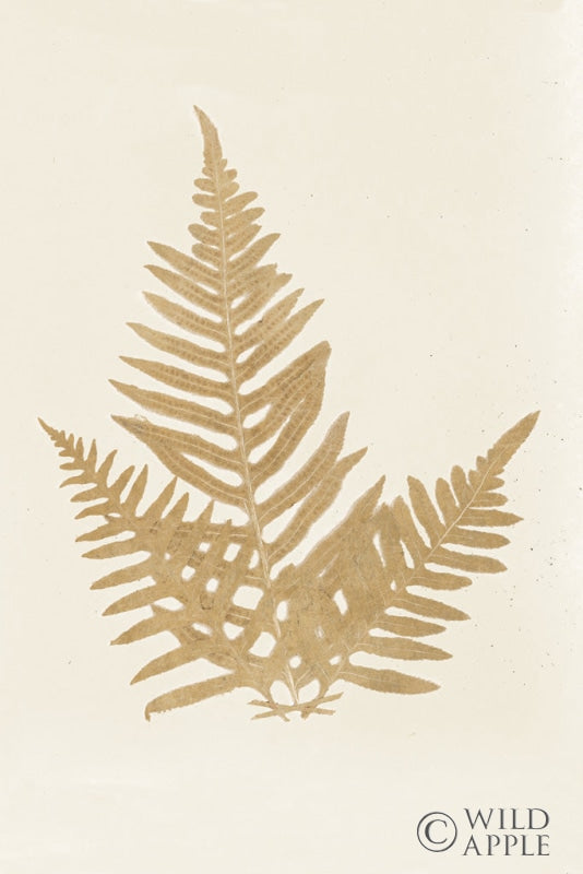 Botanical Fern XI Gold