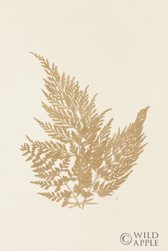 Reproduction of Botanical Fern XVIII Gold by Wild Apple Portfolio - Wall Decor Art
