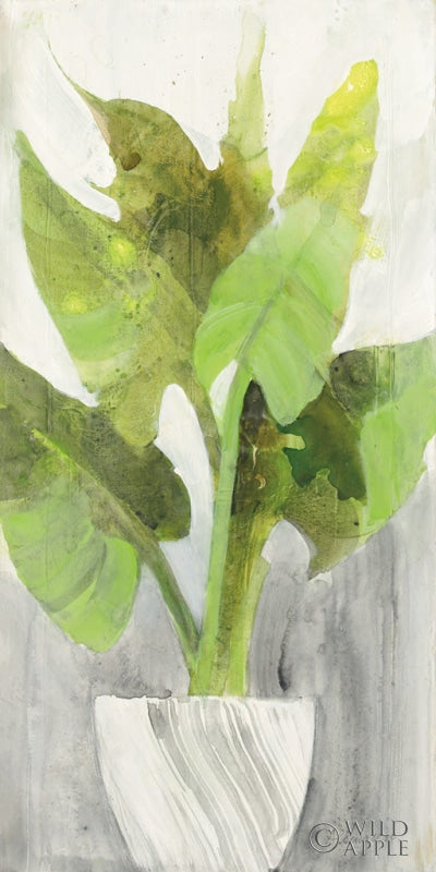 Reproduction of Tropical Planter I by Albena Hristova - Wall Decor Art