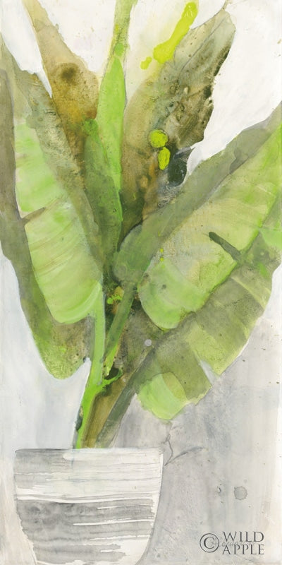 Reproduction of Tropical Planter II by Albena Hristova - Wall Decor Art