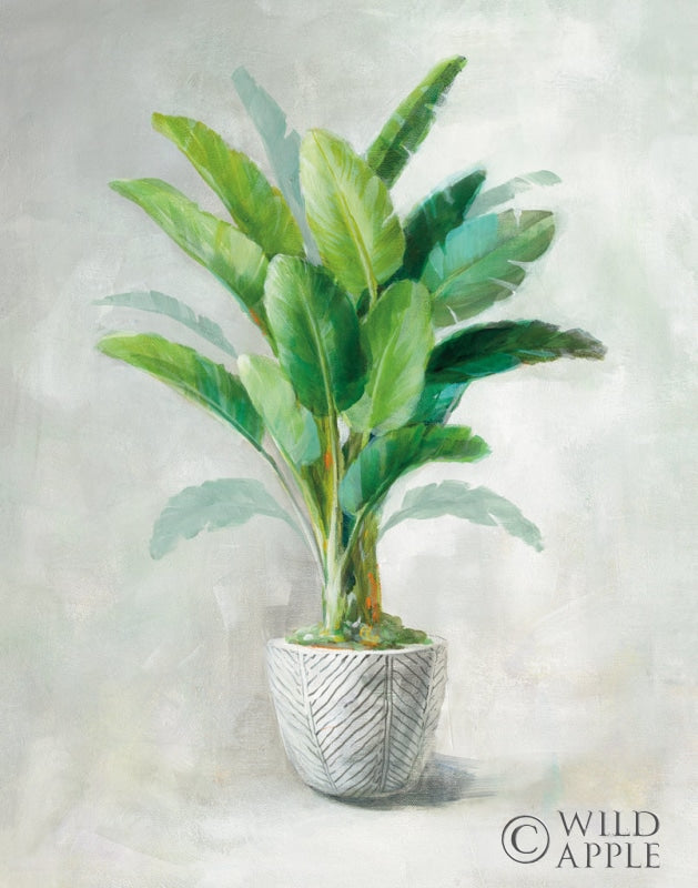 Reproduction of Greenhouse Palm II Crop by Danhui Nai - Wall Decor Art