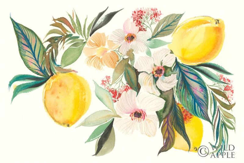 Reproduction of Citrus Summer I by Kristy Rice - Wall Decor Art