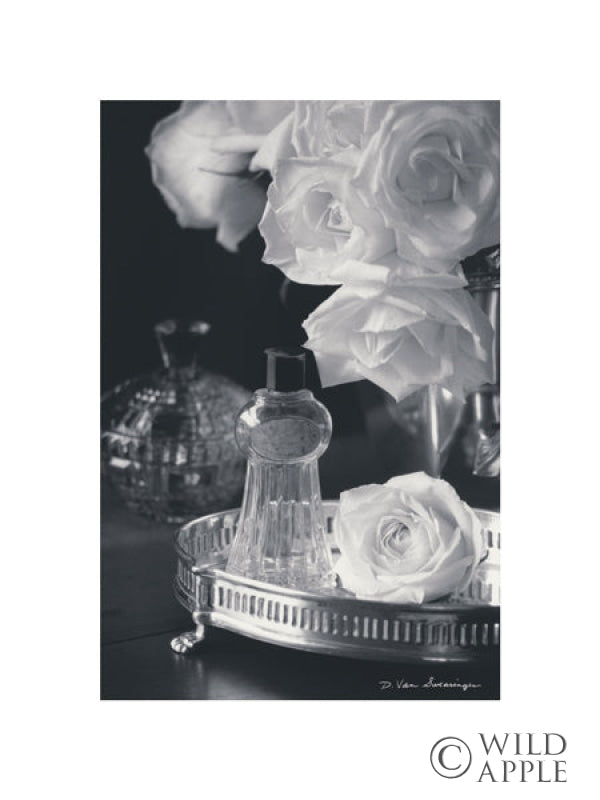 Reproduction of Vintage Vanity II with Border by Debra Van Swearingen - Wall Decor Art