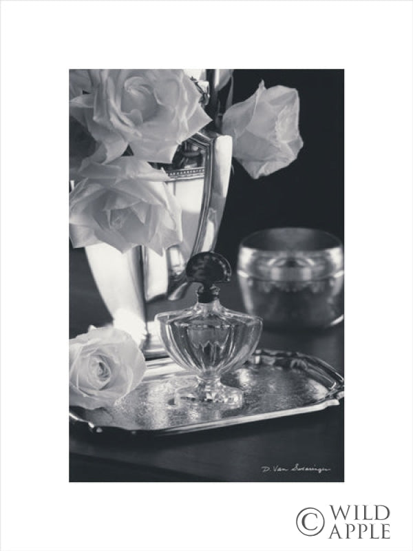 Reproduction of Vintage Vanity IV with Border by Debra Van Swearingen - Wall Decor Art