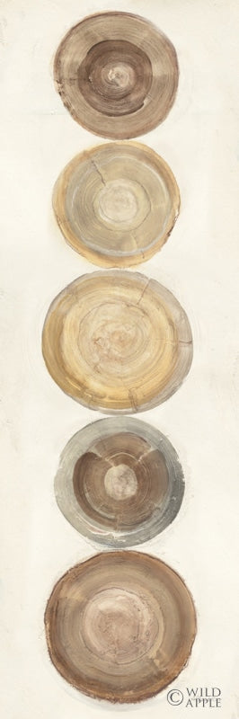 Reproduction of Through The Years III by Albena Hristova - Wall Decor Art