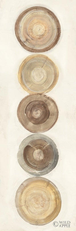 Reproduction of Through The Years IV by Albena Hristova - Wall Decor Art