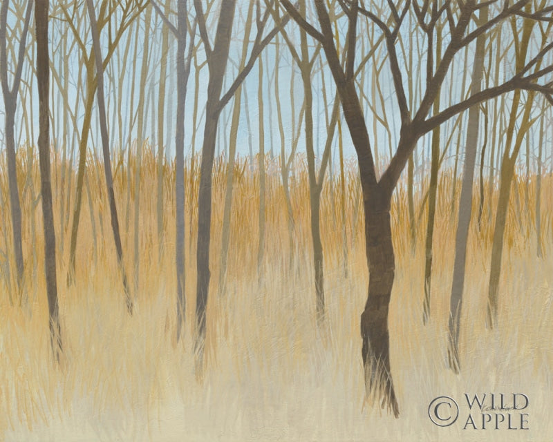Reproduction of Misty Woods by Kathrine Lovell - Wall Decor Art
