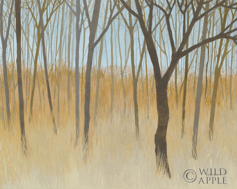 Reproduction of Misty Woods by Kathrine Lovell - Wall Decor Art