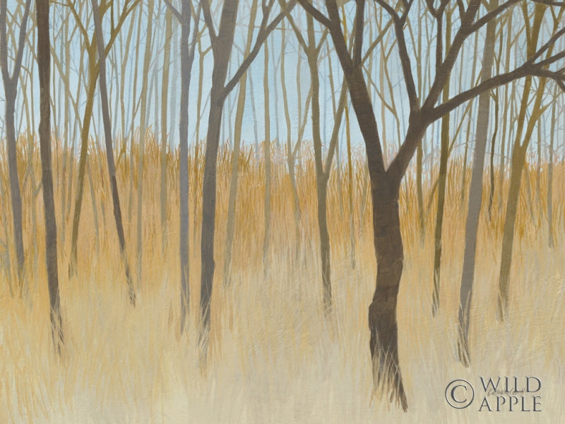 Reproduction of Misty Woods Crop by Kathrine Lovell - Wall Decor Art