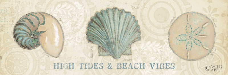 Reproduction of Beach Treasures VIII by Emily Adams - Wall Decor Art