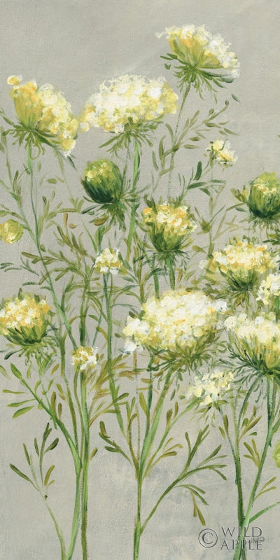 Reproduction of Queen Annes Lace II Yellow by Julia Purinton - Wall Decor Art