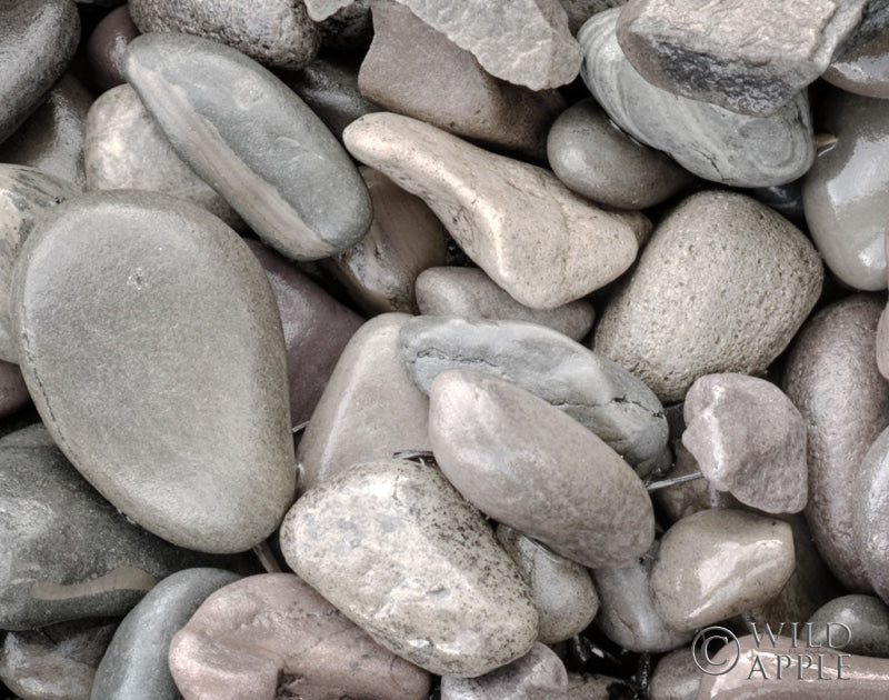 Reproduction of Lake Rocks I by Alan Majchrowicz - Wall Decor Art