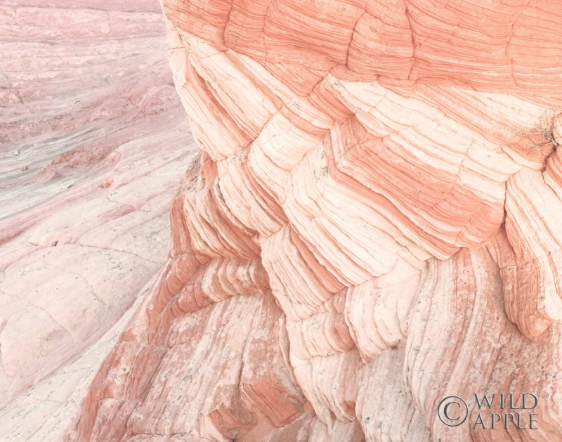Reproduction of Coyote Buttes VII Blush Orange Crop by Alan Majchrowicz - Wall Decor Art